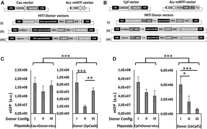 https://cdn.ncbi.nlm.nih.gov/pmc/blobs/32a5/12363278/61989ca7248e/fddev-03-934394-g002.jpg
