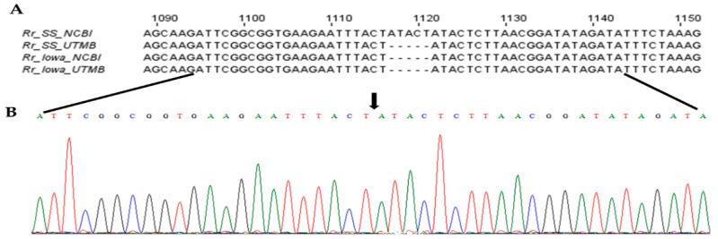 https://cdn.ncbi.nlm.nih.gov/pmc/blobs/32a5/8999164/5db56fb5da41/ijms-23-03853-g003.jpg