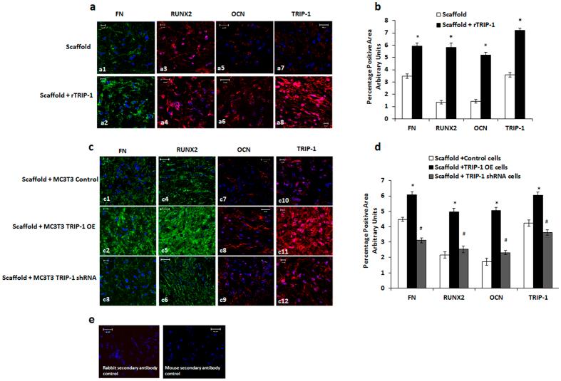 https://cdn.ncbi.nlm.nih.gov/pmc/blobs/32a6/5121659/236968c9f906/srep37885-f11.jpg