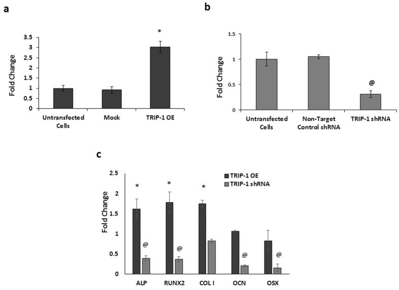 https://cdn.ncbi.nlm.nih.gov/pmc/blobs/32a6/5121659/8a283967fceb/srep37885-f4.jpg