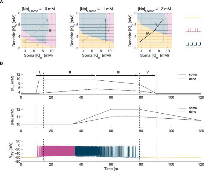 https://cdn.ncbi.nlm.nih.gov/pmc/blobs/32a7/9377802/c089f44a48c1/elife-68541-fig4.jpg