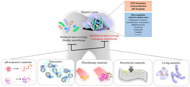 https://cdn.ncbi.nlm.nih.gov/pmc/blobs/32a9/11858515/a4c1e1ae0cfc/pathogens-14-00111-g001.jpg