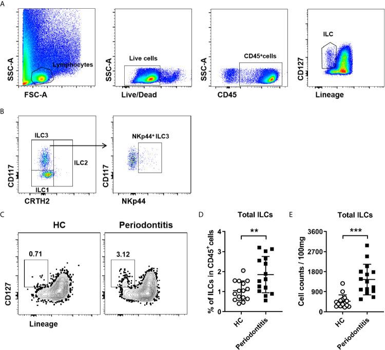 https://cdn.ncbi.nlm.nih.gov/pmc/blobs/32ac/8350136/87105aa73b31/fimmu-12-708678-g001.jpg