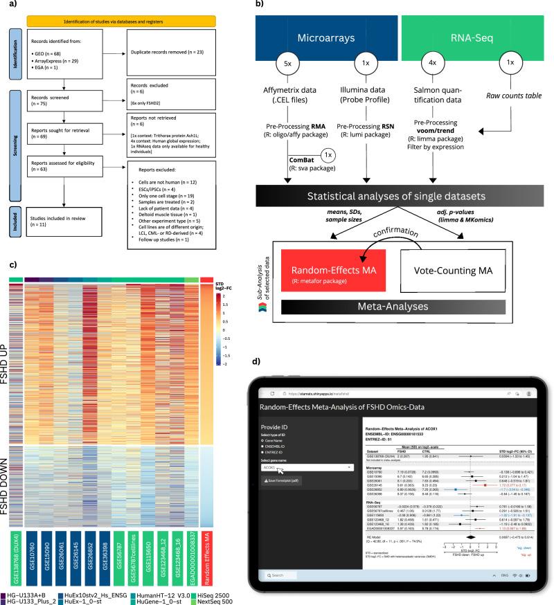 https://cdn.ncbi.nlm.nih.gov/pmc/blobs/32ad/11127974/25424c40c030/42003_2024_6325_Fig1_HTML.jpg
