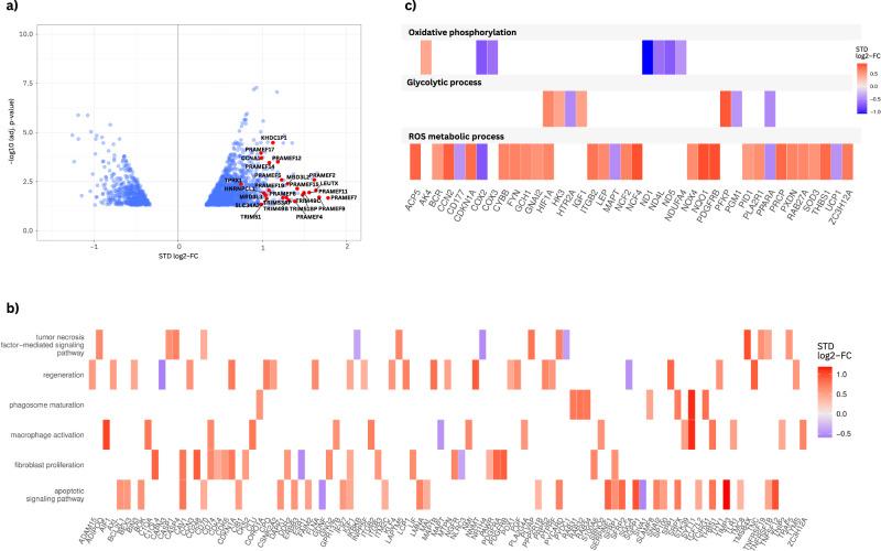 https://cdn.ncbi.nlm.nih.gov/pmc/blobs/32ad/11127974/ca0af8383f53/42003_2024_6325_Fig2_HTML.jpg