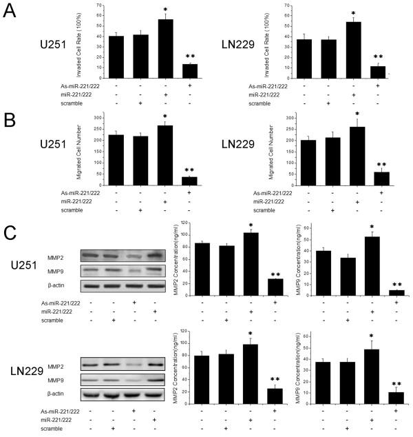 https://cdn.ncbi.nlm.nih.gov/pmc/blobs/32ad/3403924/bbd38a752ffa/1479-5876-10-119-2.jpg