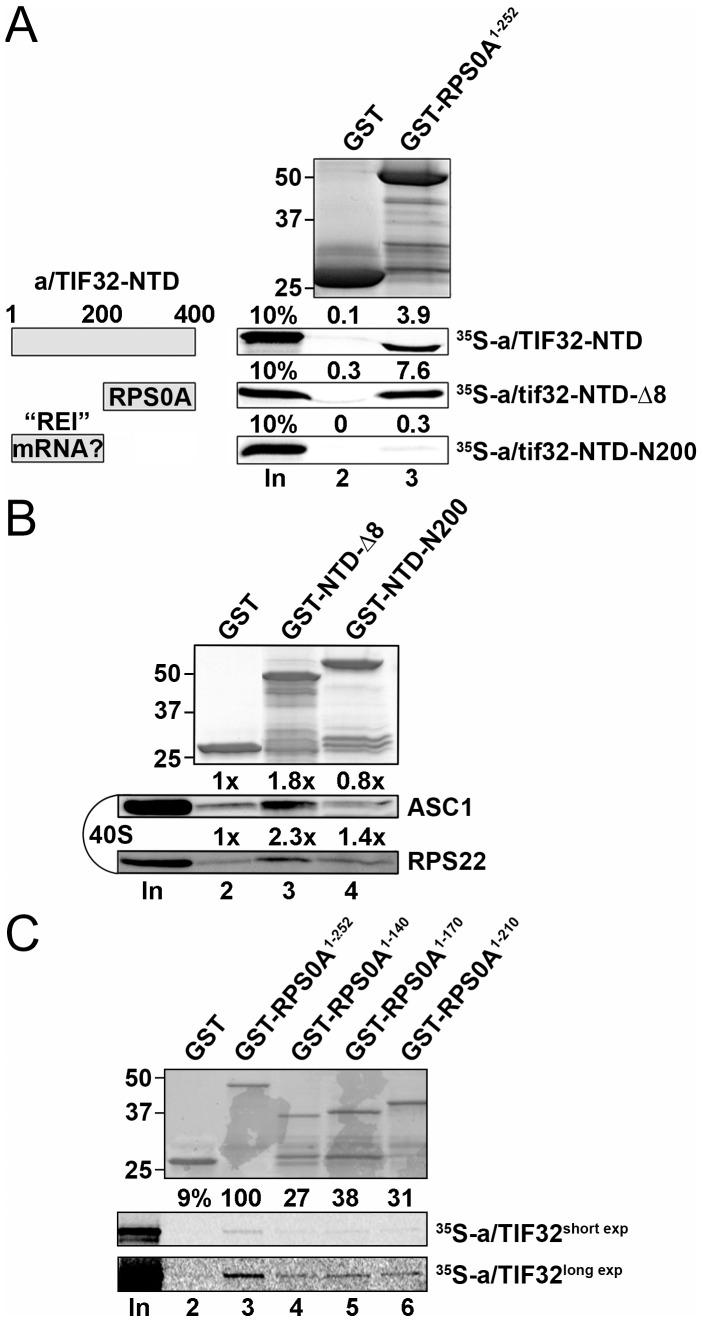 https://cdn.ncbi.nlm.nih.gov/pmc/blobs/32b1/3390373/61ce634df080/pone.0040464.g002.jpg