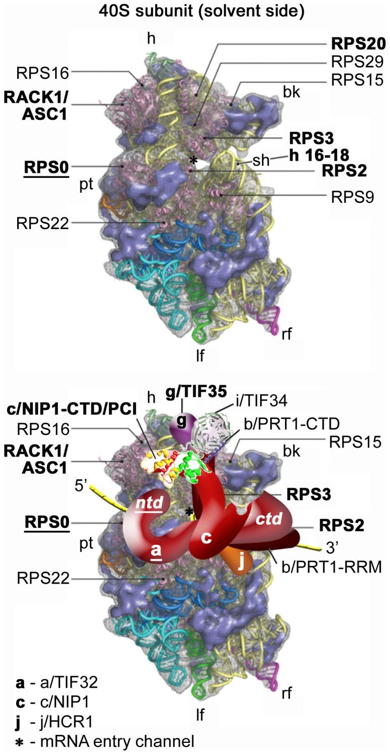 https://cdn.ncbi.nlm.nih.gov/pmc/blobs/32b1/3390373/6e1de6ae5b69/pone.0040464.g001.jpg