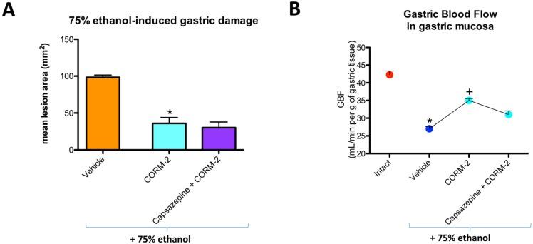 https://cdn.ncbi.nlm.nih.gov/pmc/blobs/32b2/6213448/5becbd5521a0/ijms-19-02960-g003.jpg