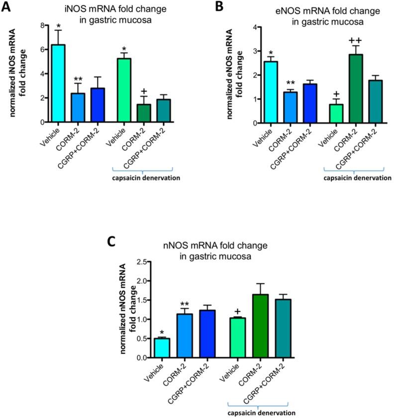 https://cdn.ncbi.nlm.nih.gov/pmc/blobs/32b2/6213448/8e5b3dd0f0ff/ijms-19-02960-g008.jpg