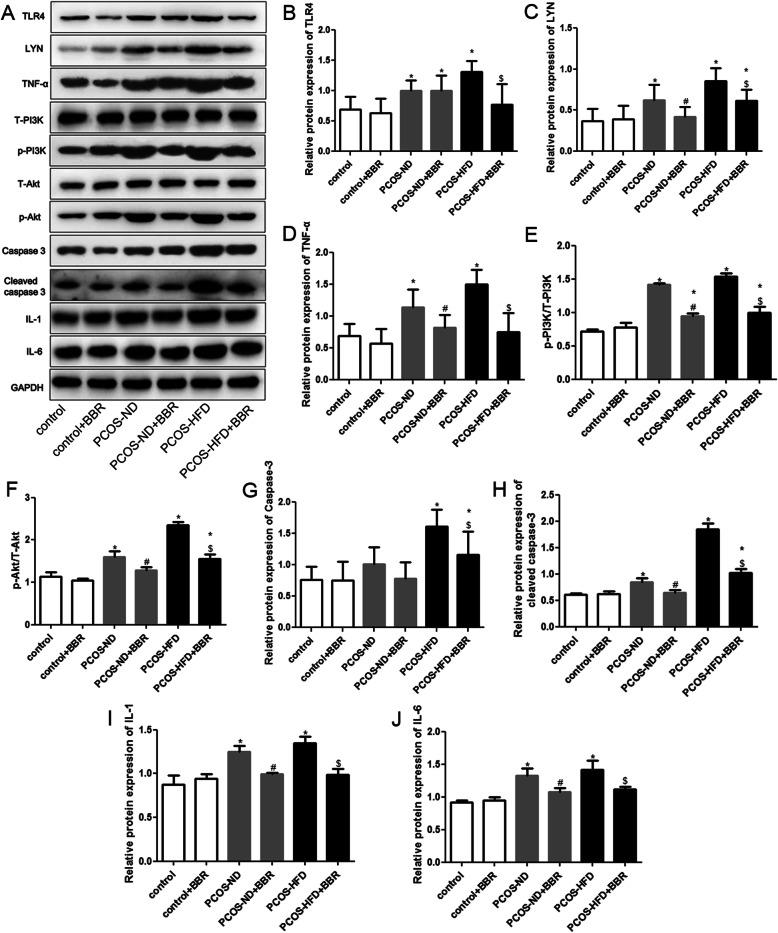 https://cdn.ncbi.nlm.nih.gov/pmc/blobs/32b3/7789273/3eafd5393ef5/12958_2020_684_Fig6_HTML.jpg