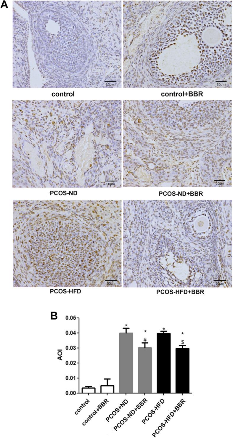 https://cdn.ncbi.nlm.nih.gov/pmc/blobs/32b3/7789273/57752a0c82eb/12958_2020_684_Fig4_HTML.jpg