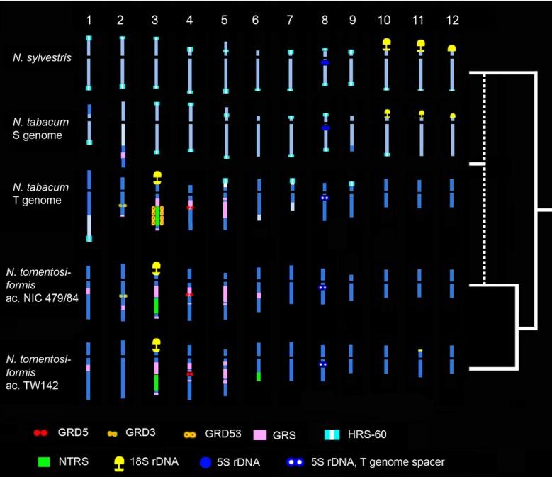 https://cdn.ncbi.nlm.nih.gov/pmc/blobs/32b6/3954085/886ea8908a45/genes-01-00166-g005.jpg
