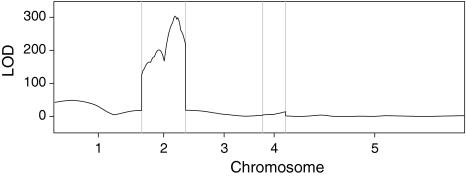 https://cdn.ncbi.nlm.nih.gov/pmc/blobs/32ba/2871098/168a834da30c/122_2010_1290_Fig2_HTML.jpg