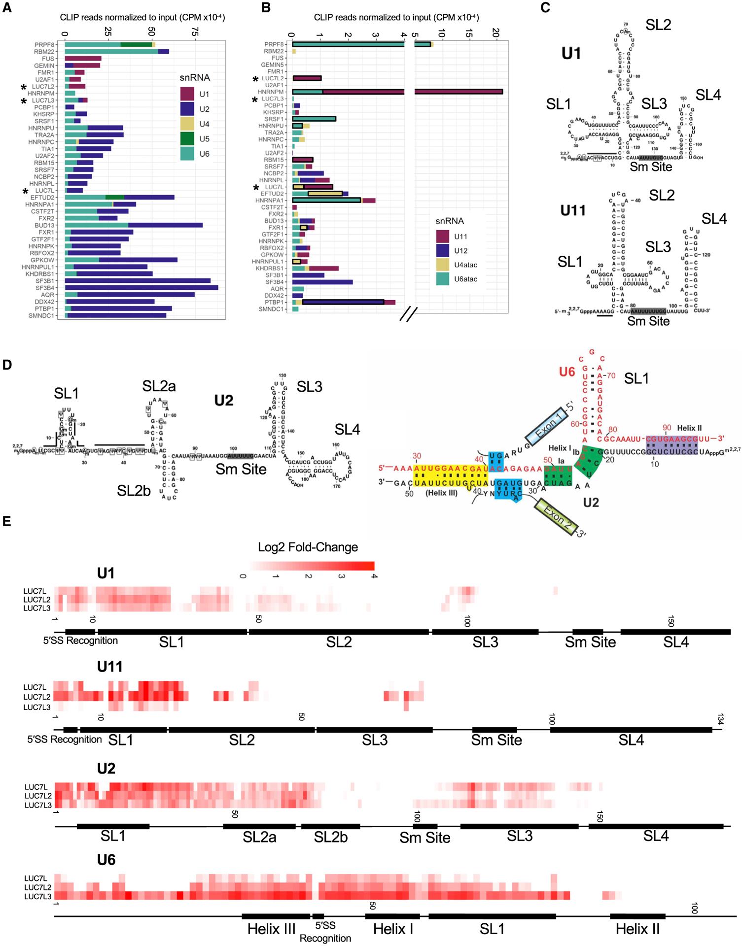 https://cdn.ncbi.nlm.nih.gov/pmc/blobs/32ba/8078730/cba73406267f/nihms-1693706-f0004.jpg