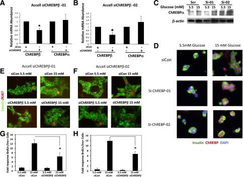 https://cdn.ncbi.nlm.nih.gov/pmc/blobs/32bc/4657577/5b8df5d373ed/db150239f7.jpg