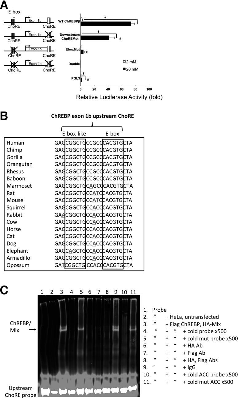 https://cdn.ncbi.nlm.nih.gov/pmc/blobs/32bc/4657577/f1b55422d37e/db150239f3.jpg