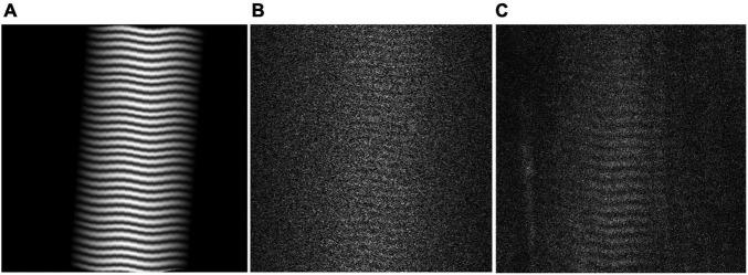 https://cdn.ncbi.nlm.nih.gov/pmc/blobs/32bd/8861439/7d6bc40c0e30/fphys-12-817334-g002.jpg