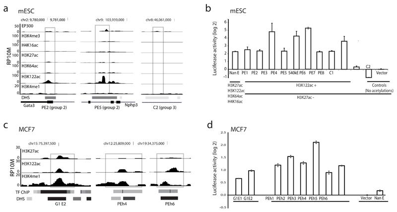 https://cdn.ncbi.nlm.nih.gov/pmc/blobs/32be/4886833/fc8efc069aa5/emss-68462-f003.jpg