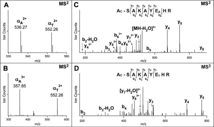 https://cdn.ncbi.nlm.nih.gov/pmc/blobs/32c2/4989248/946ea9036002/ac-2016-02240p_0003.jpg