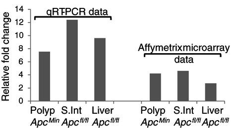 https://cdn.ncbi.nlm.nih.gov/pmc/blobs/32c3/4367870/c52044e58aaa/12885_2015_1087_Fig2_HTML.jpg