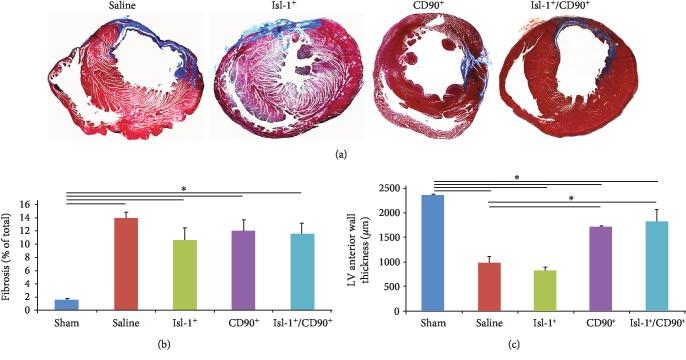 https://cdn.ncbi.nlm.nih.gov/pmc/blobs/32c5/6875168/36f8dc1c76a6/SCI2019-3945850.003.jpg