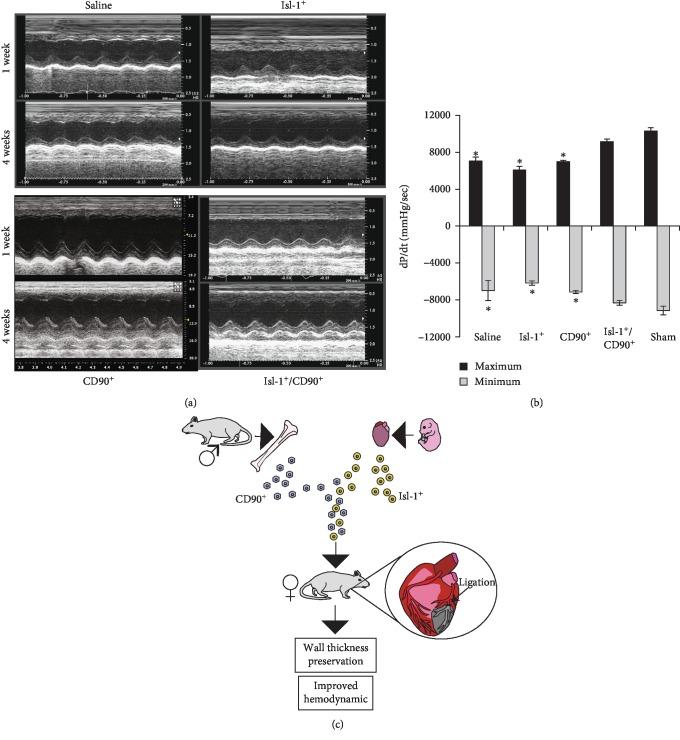 https://cdn.ncbi.nlm.nih.gov/pmc/blobs/32c5/6875168/478a4f775e4d/SCI2019-3945850.004.jpg