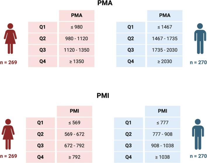 https://cdn.ncbi.nlm.nih.gov/pmc/blobs/32c9/12246956/61a3b957bfd3/JCSM-16-e70012-g002.jpg