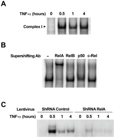 https://cdn.ncbi.nlm.nih.gov/pmc/blobs/32cc/3130773/2b060517c75f/pone.0021589.g003.jpg