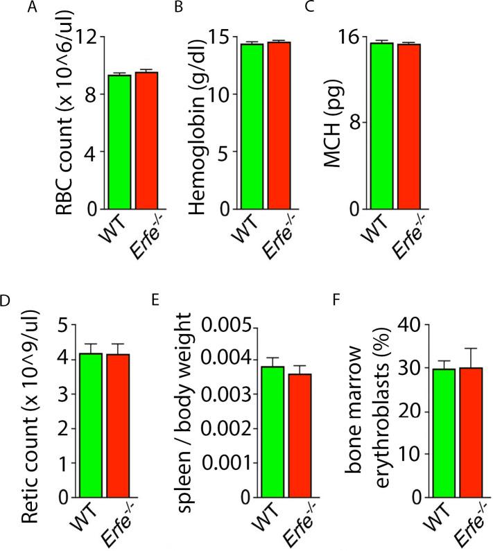 https://cdn.ncbi.nlm.nih.gov/pmc/blobs/32cc/8205482/a7515c1c9d04/elife-68217-fig1-figsupp1.jpg
