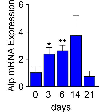 https://cdn.ncbi.nlm.nih.gov/pmc/blobs/32cc/8205482/bb4cc6ab9083/elife-68217-fig2-figsupp1.jpg
