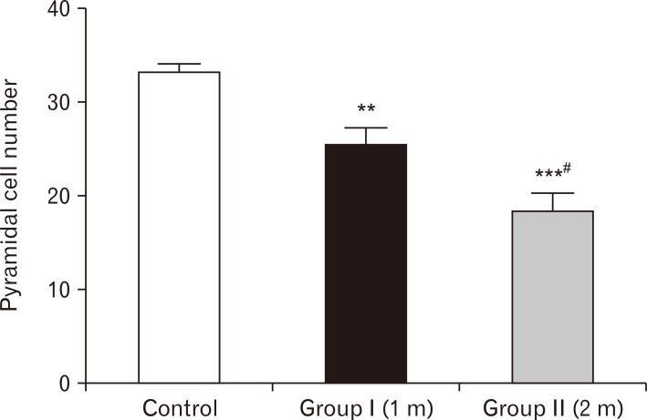 https://cdn.ncbi.nlm.nih.gov/pmc/blobs/32cd/7527115/a2bdecad377c/ACB-53-330-f24.jpg