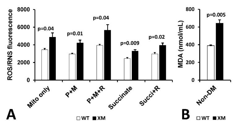 https://cdn.ncbi.nlm.nih.gov/pmc/blobs/32ce/10886269/c73de18163b9/antioxidants-13-00187-g006.jpg