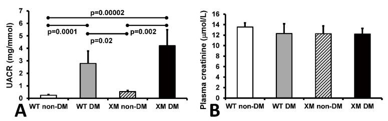 https://cdn.ncbi.nlm.nih.gov/pmc/blobs/32ce/10886269/ca7582ceb937/antioxidants-13-00187-g004.jpg