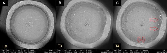 https://cdn.ncbi.nlm.nih.gov/pmc/blobs/32ce/11303480/0cb3951176d8/784_2024_5831_Fig7_HTML.jpg