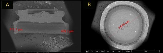 https://cdn.ncbi.nlm.nih.gov/pmc/blobs/32ce/11303480/4295afa90ccf/784_2024_5831_Fig2_HTML.jpg