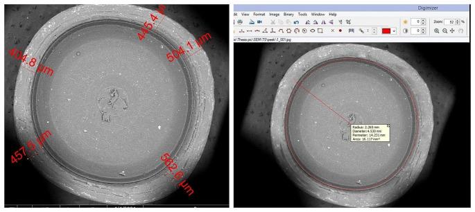 https://cdn.ncbi.nlm.nih.gov/pmc/blobs/32ce/11303480/6bb44b49826b/784_2024_5831_Fig3_HTML.jpg