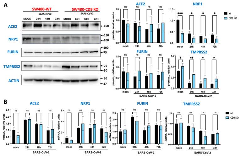 https://cdn.ncbi.nlm.nih.gov/pmc/blobs/32d2/12390632/fba366316532/viruses-17-01141-g002.jpg
