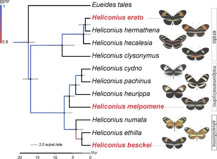 https://cdn.ncbi.nlm.nih.gov/pmc/blobs/32d2/5869215/1f948d8cead5/ECE3-8-3280-g001.jpg