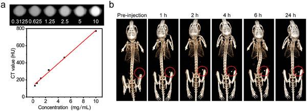 https://cdn.ncbi.nlm.nih.gov/pmc/blobs/32d4/11481196/005a98b5a25b/ADVS-11-2405192-g001.jpg