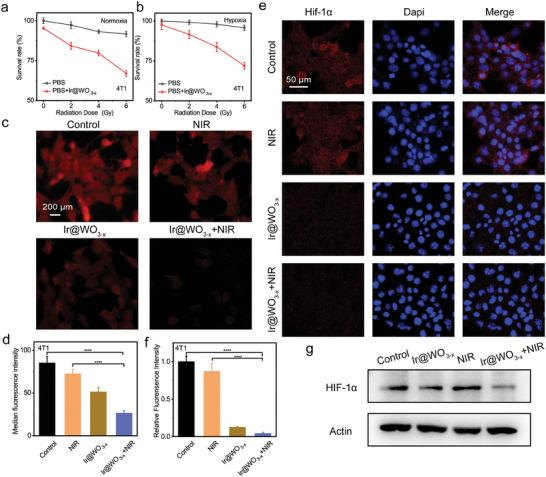 https://cdn.ncbi.nlm.nih.gov/pmc/blobs/32d4/11481196/97ea1514e484/ADVS-11-2405192-g002.jpg
