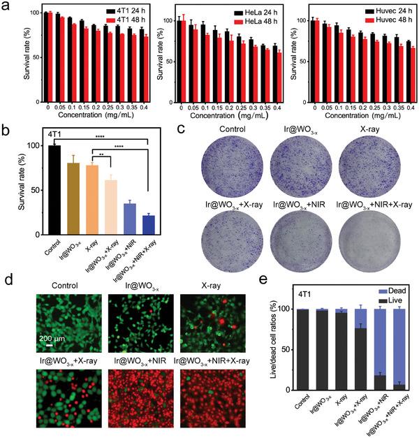 https://cdn.ncbi.nlm.nih.gov/pmc/blobs/32d4/11481196/e17917a02282/ADVS-11-2405192-g003.jpg