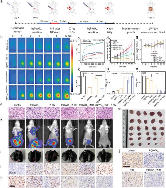 https://cdn.ncbi.nlm.nih.gov/pmc/blobs/32d4/11481196/e2cb1ca30c67/ADVS-11-2405192-g006.jpg