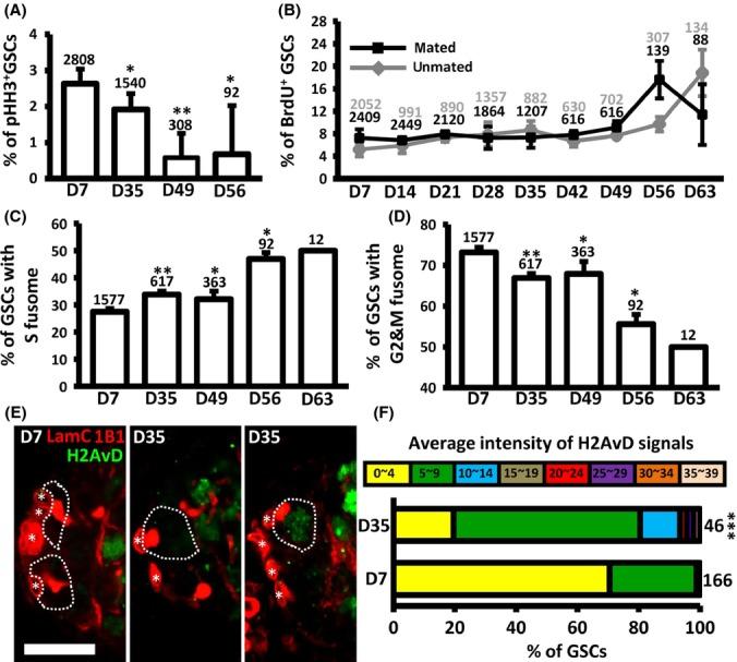 https://cdn.ncbi.nlm.nih.gov/pmc/blobs/32d5/4326914/036a5ffe1600/acel0014-0025-f3.jpg
