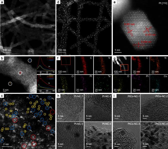 https://cdn.ncbi.nlm.nih.gov/pmc/blobs/32d5/7877387/a0b6aeddc441/RESEARCH2020-9167829.002.jpg