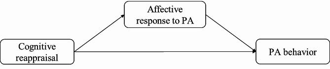 https://cdn.ncbi.nlm.nih.gov/pmc/blobs/32d9/11220955/5c383678bbba/13104_2024_6843_Fig1_HTML.jpg