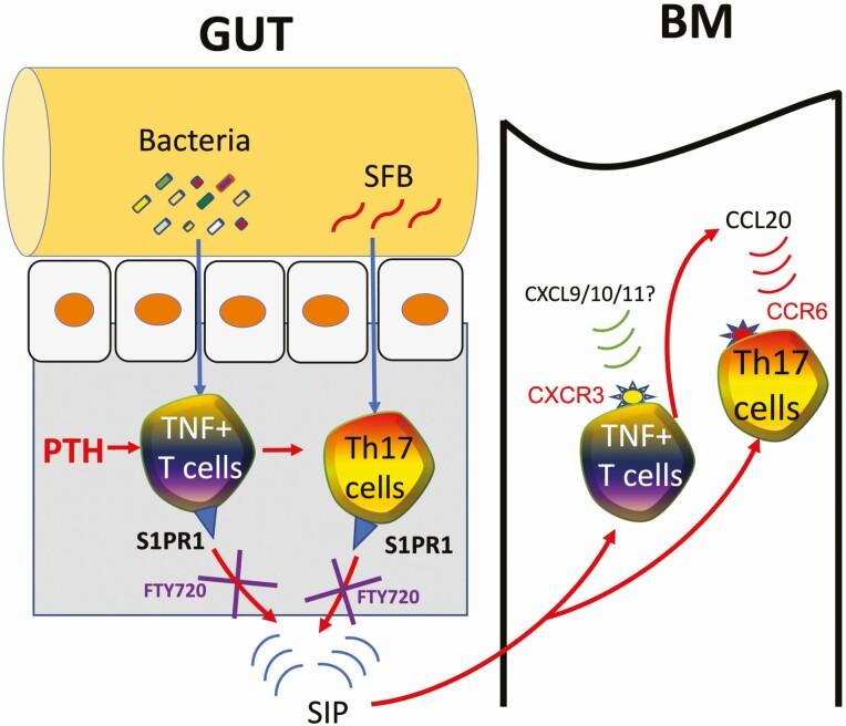 https://cdn.ncbi.nlm.nih.gov/pmc/blobs/32dc/7947780/102ad2caf69e/dgaa895_fig1.jpg