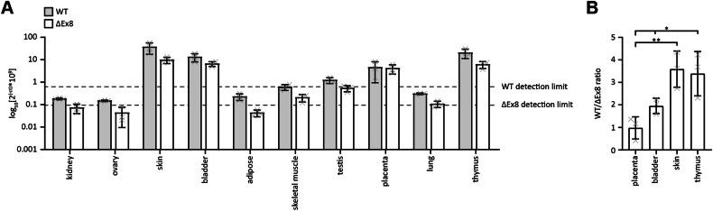 https://cdn.ncbi.nlm.nih.gov/pmc/blobs/32de/11704248/3fff9c387c1a/41419_2024_7320_Fig7_HTML.jpg