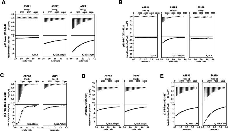 https://cdn.ncbi.nlm.nih.gov/pmc/blobs/32de/11704248/4a4243b5ca54/41419_2024_7320_Fig5_HTML.jpg
