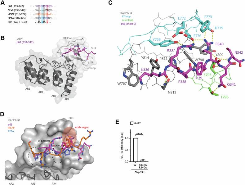 https://cdn.ncbi.nlm.nih.gov/pmc/blobs/32de/11704248/608008bf435a/41419_2024_7320_Fig6_HTML.jpg